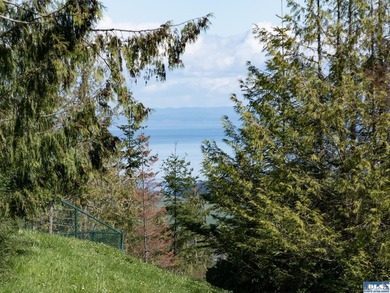 Water & Mt View Lot on Bell Hill For $160K! Enjoy this easy to - photo 41
