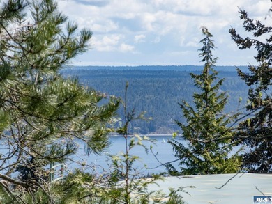 Water & Mt View Lot on Bell Hill For $160K! Enjoy this easy to - photo 42