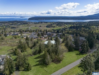 Water & Mt View Lot on Bell Hill For $160K! Enjoy this easy to - photo 43