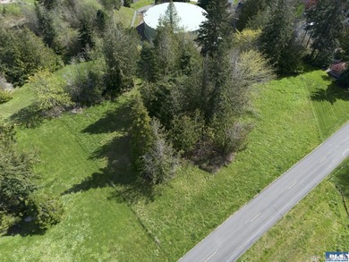 Water & Mt View Lot on Bell Hill For $160K! Enjoy this easy to - photo 44
