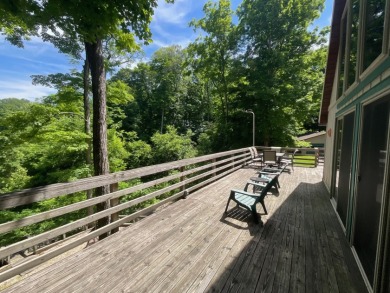 Raccoon Lake, Lakefront, Lakeview, Chalet - photo 12