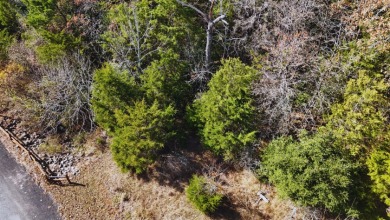 Lot 131 Lincoln Drive - photo 12