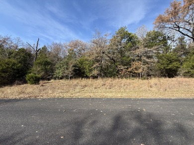 Lot 131 Lincoln Drive - photo 7