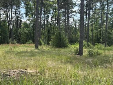 Lake Sam Rayburn  Lot For Sale in Brookeland Texas
