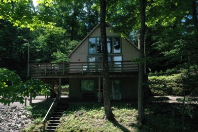 Raccoon Lake, Lakefront, Lakeview, Chalet - photo 4