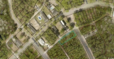 (private lake, pond, coastal) Lot For Sale in Georgetown South Carolina