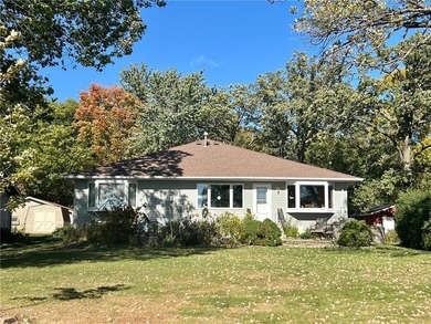 Lake Washington - Meeker County Home For Sale in Dassel Minnesota