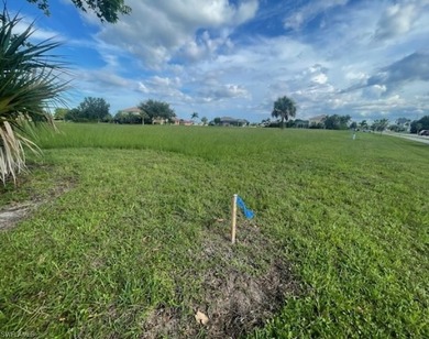 Buildable corner lot with water and sewer. Hire your own GC to - photo 7