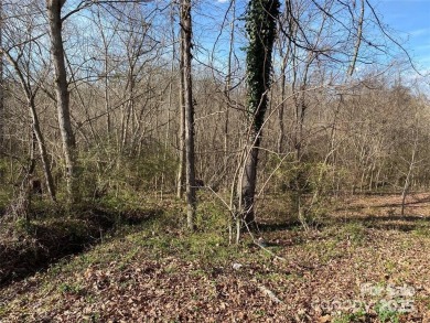 Lake Acreage For Sale in Lincolnton, North Carolina