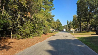 Snatch up this one-of-a-kind opportunity to invest in Lake - photo 4