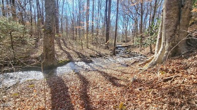 (private lake, pond, creek) Acreage For Sale in Newport Tennessee