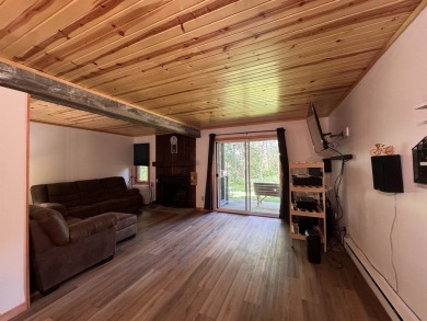 Lake Condo For Sale in Wisconsin Dells, Wisconsin