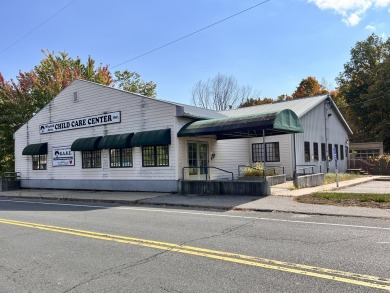 Lake Commercial For Sale in Winchester, Connecticut