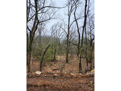 Looking for the perfect place to build that walk-out basement - photo 4