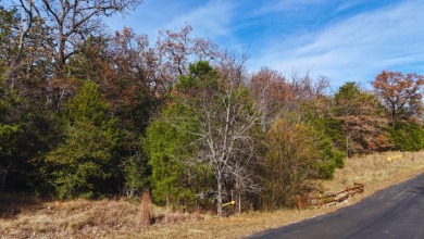 Lot 131 Lincoln Drive - photo 5