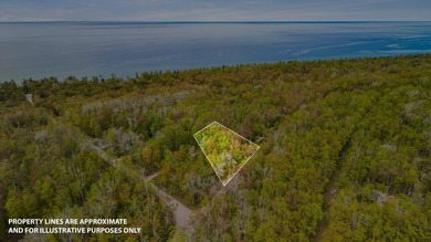 Rare opportunity to own three beautifully wooded lots in the - photo 11