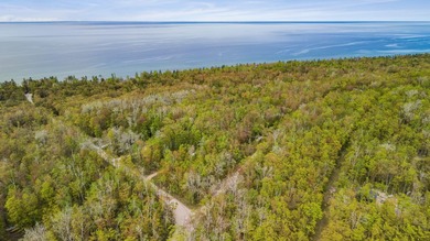 Rare opportunity to own three beautifully wooded lots in the - photo 12