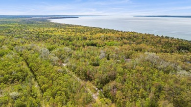Rare opportunity to own three beautifully wooded lots in the - photo 16