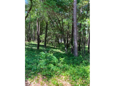 Lockwoods Folly River Lot For Sale in Bolivia North Carolina