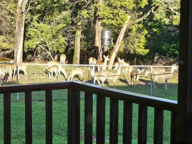 Escape to your own East Texas retreat with this beautifully - photo 6