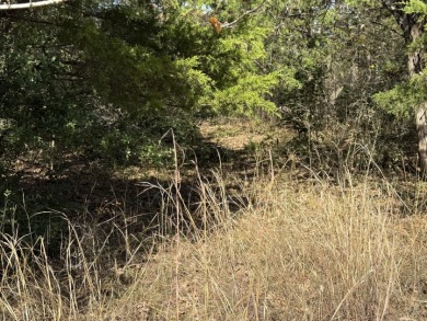 Lot 131 Lincoln Drive - photo 9
