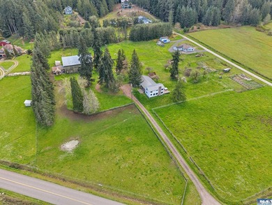 Shy 8 ac -Rare multi-gen, farm-to-table lifestyle in May Valley! - photo 46
