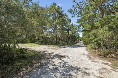 Rare opportunity to own a homesite on one of Gulf Shore Manor's - photo 8