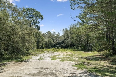 Rare opportunity to own a homesite on one of Gulf Shore Manor's - photo 9