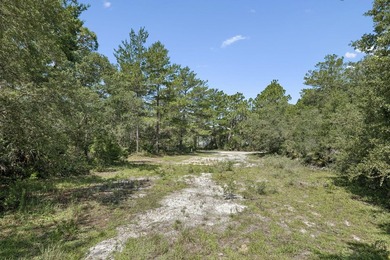 Rare opportunity to own a homesite on one of Gulf Shore Manor's - photo 10