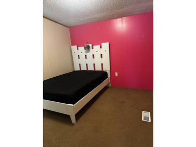 Well maintained home with 4 bedrooms, 2 bathrooms, furnished - photo 26
