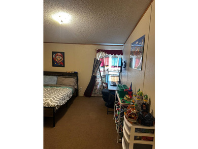 Well maintained home with 4 bedrooms, 2 bathrooms, furnished - photo 28