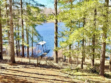 Lakefront beauty! This home has been well maintained and it - photo 9