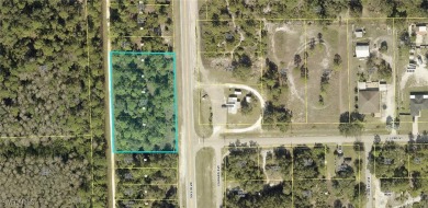 Lehigh Acres Area Commercial Sale Pending in Alva Florida