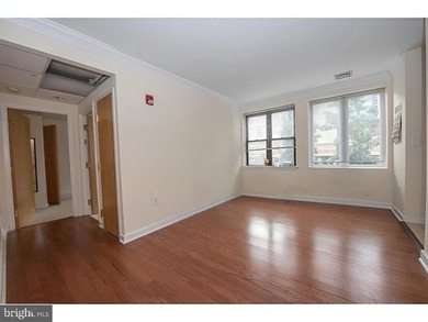 Rittenhouse Square Area Condo at 20th and Chestnut, 1 bed unit - photo 4
