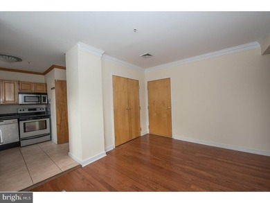 Rittenhouse Square Area Condo at 20th and Chestnut, 1 bed unit - photo 7