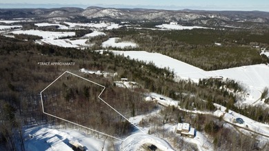 Lac Vezeau Lot For Sale in La Conception QC