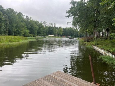 Lake Home For Sale in Abbeville, Alabama