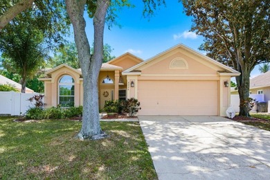 Lake Tarpon Home For Sale in Palm Harbor Florida