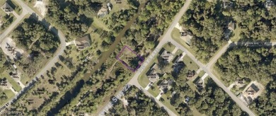 Beautiful Waterfront lot located in the heart of Florida! Build - photo 3