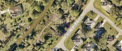 Beautiful Waterfront lot located in the heart of Florida! Build - photo 5