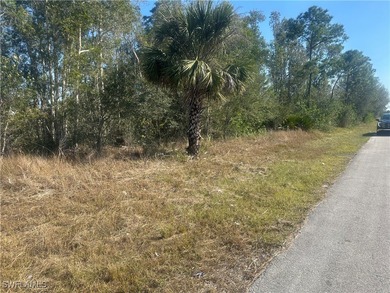 Lehigh Acres Area Lot For Sale in Lehigh Acres Florida
