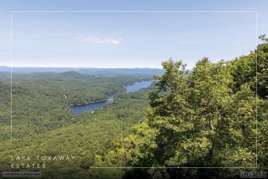 Lake Toxaway Acreage For Sale in Lake Toxaway North Carolina