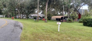Lake Sidney Lot For Sale in Paisley Florida