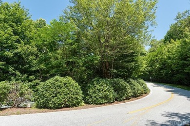 Captivating long-range views of the Blue Ridge Mountains await! - photo 3