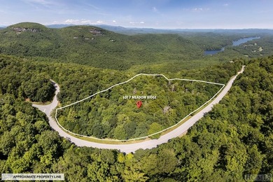 Captivating long-range views of the Blue Ridge Mountains await! - photo 8