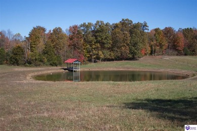 (private lake, pond, creek) Acreage For Sale in Sonora Kentucky