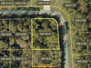 Lehigh Acres Area Lot For Sale in Lehigh Acres Florida