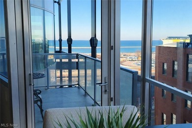 Elevated Living in the Heart of Downtown Cleveland! Welcome to - photo 23
