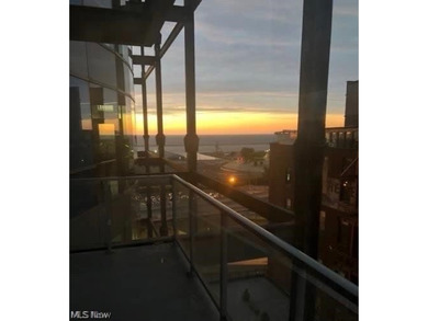 Elevated Living in the Heart of Downtown Cleveland! Welcome to - photo 24