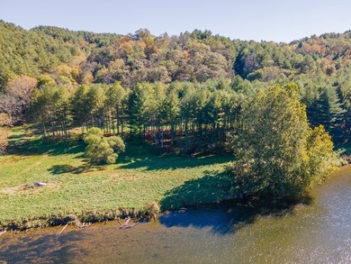 Experience the ultimate riverside retreat on this premier 5-acre - photo 3